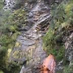 DSCN0724