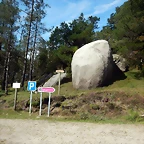 DSCN0529