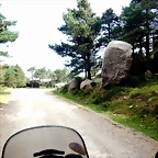 DSCN5746