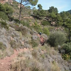 mtb olocau 028