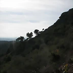 mtb olocau 033