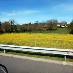 DSCN1784
