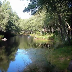DSCN1963