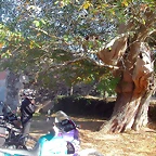 DSCN1945