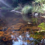 DSCN1956