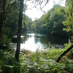 DSCN1960