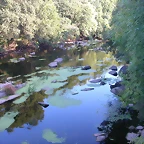 DSCN1976