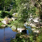 DSCN1981