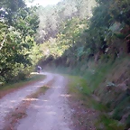 DSCN2040