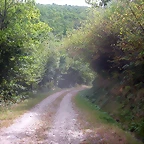 DSCN2030