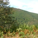 DSCN2039