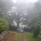 DSCN3955
