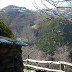 DSCN7799