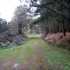 DSCN9391