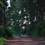 C0021