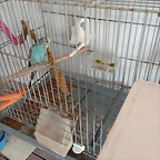 IMG_20250605_085239