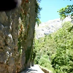 DSCN6958