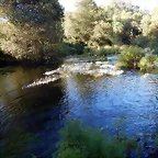DSCN9741