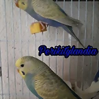 FB_IMG_1497522916603