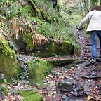 DSCN0667