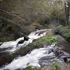 DSCN2763