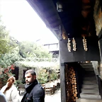 DSCN3598