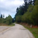 DSCN6668