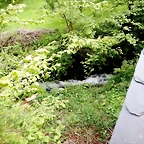 DSCN4549