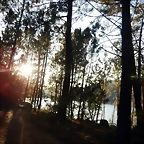 DSCN1710