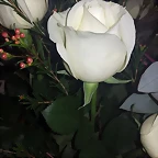 Mar?a twitter 16-11-2016 (1)