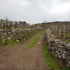 DSCN1344