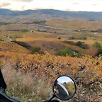 IMG-20221111-WA0017