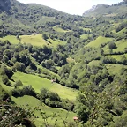 DSCN3860