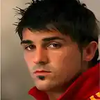 David Villa