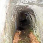 DSCN1369