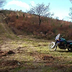 DSCN6430