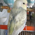 20170601_172748