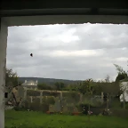 DSCN9537