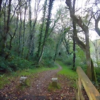 DSCN3771