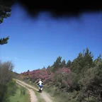 DSCF2504