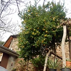DSCN3208