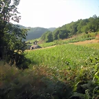 DSCN7159'5