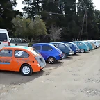 21728063_1900863986900759_7503505562430460068_n