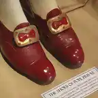 pio xii zapatos