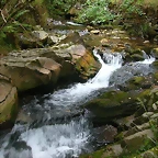 DSCN3766