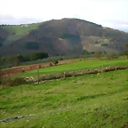 DSCN6263