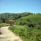DSCN3785