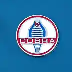 cobra-emblem-jill-reger