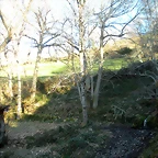 DSCN3011