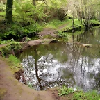 DSCN4147